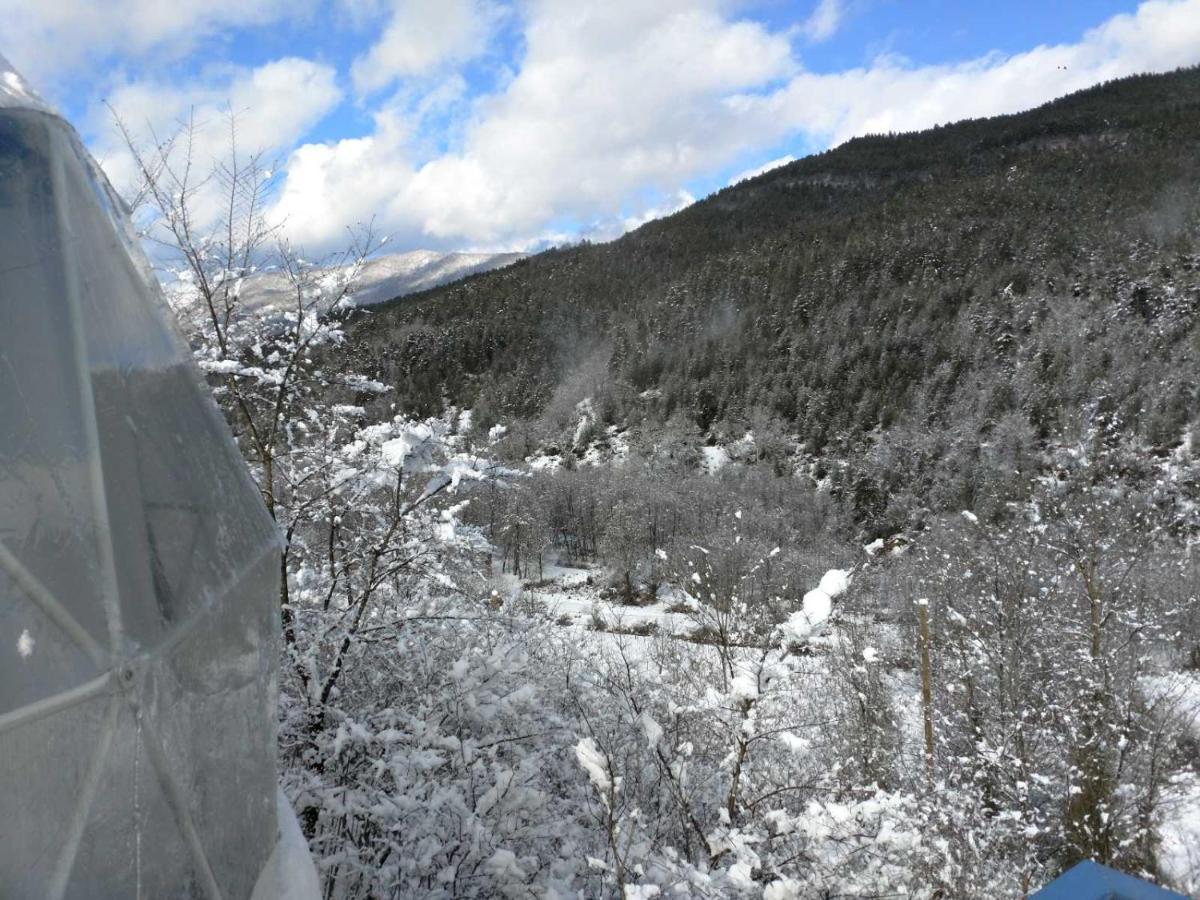 Glamping Georgia Krikhi Hotell Ambrolauri Eksteriør bilde